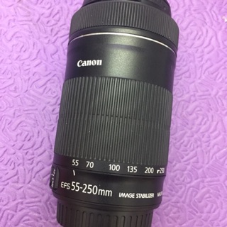 出租 Canon 佳能 55-250mm 鏡頭 單天300 多天優惠 7d 70d 800d 750d 700d 650