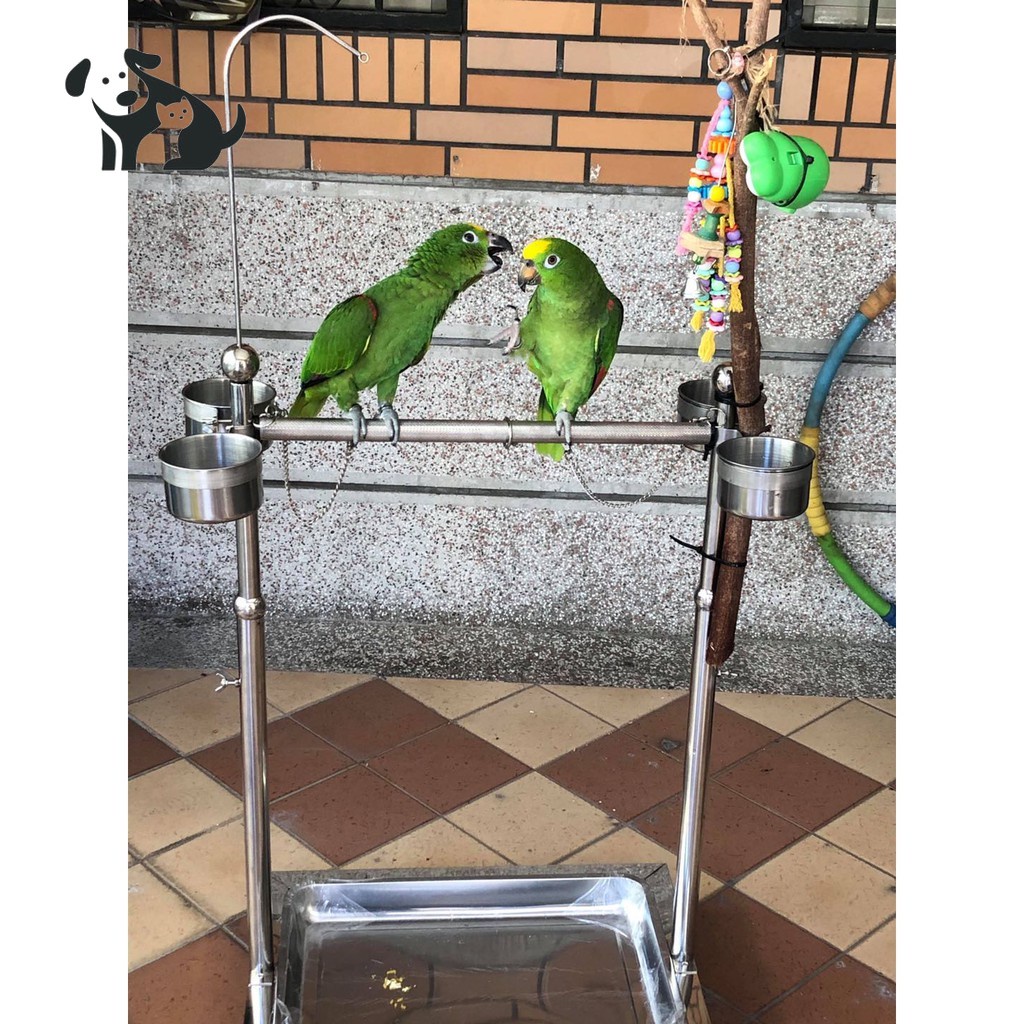 新店優價保質量 訓練鳥架不銹鋼大型站架架子大中小型鸚鵡鳥架 蝦皮購物