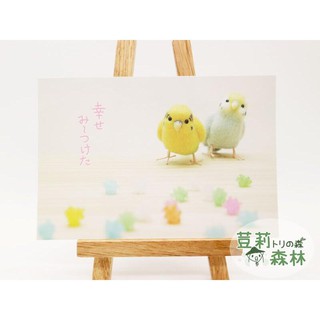現貨 日本 鸚鵡明信片 小鳥鸚鵡文具雜貨文創 虎皮鸚鵡 留言卡 紀念卡 羊毛氈 mochi mochi 鸚鵡周邊