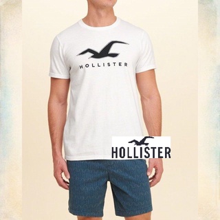 HCO Hollister co.Applique Logo Graphic Tee經典款海鷗貼布短T-白