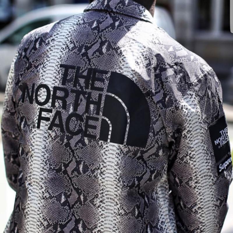 supreme north face jacket silver