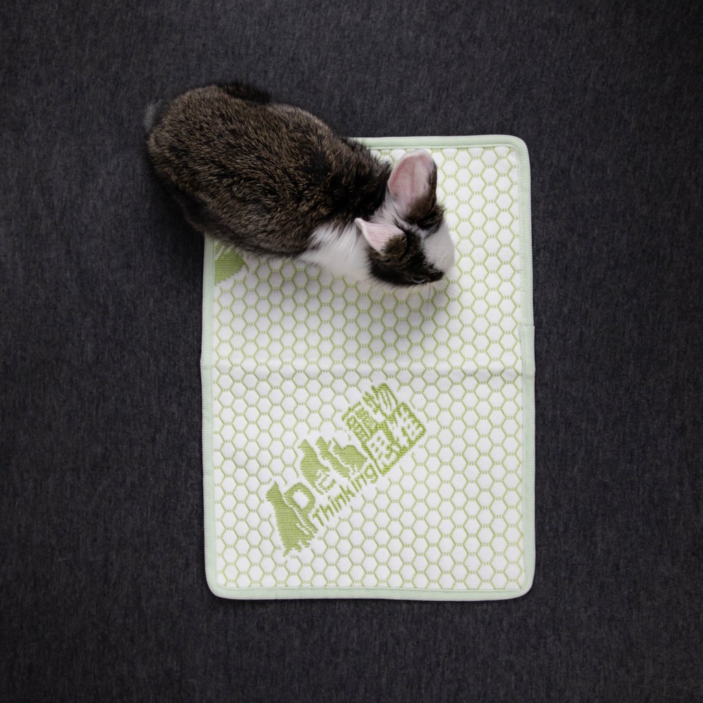 寵物思維【寵物環保尿布墊-XS號、S】 第二代 綠色加厚款 吸水增加30%  獨家專利商品