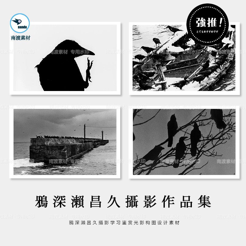 深瀬昌久 鴉 Rat Hole Gallery刊 - burnet.com.ar