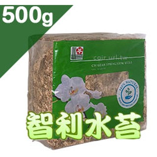 全館790免運 智利水苔 水草moss 500g裝 綠 高接 扦插 嫁接上可防止乾燥 觀葉植物 洋蘭幼苗栽培 多肉組盆 蝦皮購物