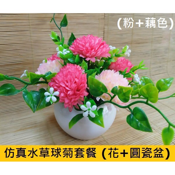 仿真水草球菊套餐 花 圓瓷盆 粉 藕色 蝦皮購物