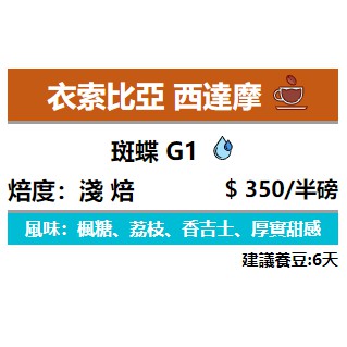 鷗南咖后 衣索比亞 西達摩 斑蝶 G1 水洗 淺中焙 手沖咖啡 單品咖啡 濾掛  掛耳包 ADM純熱風烘豆機