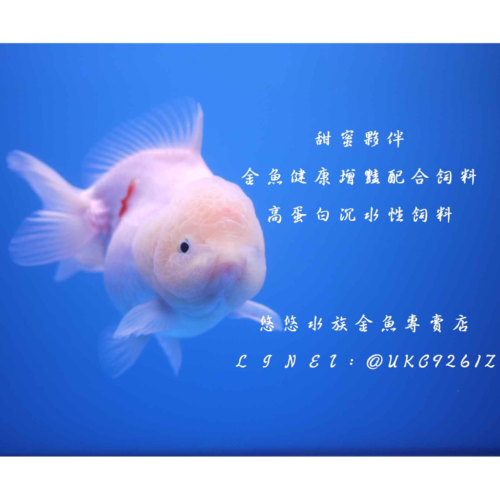 蝦皮購物 花得更少買得更好