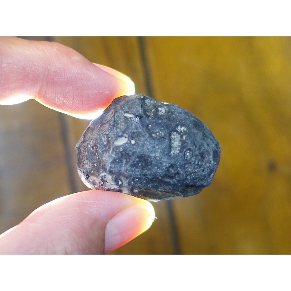 §能量礦石§ 亞利桑那隕石Saffordite Arizona天狼星隕石 重27.85g