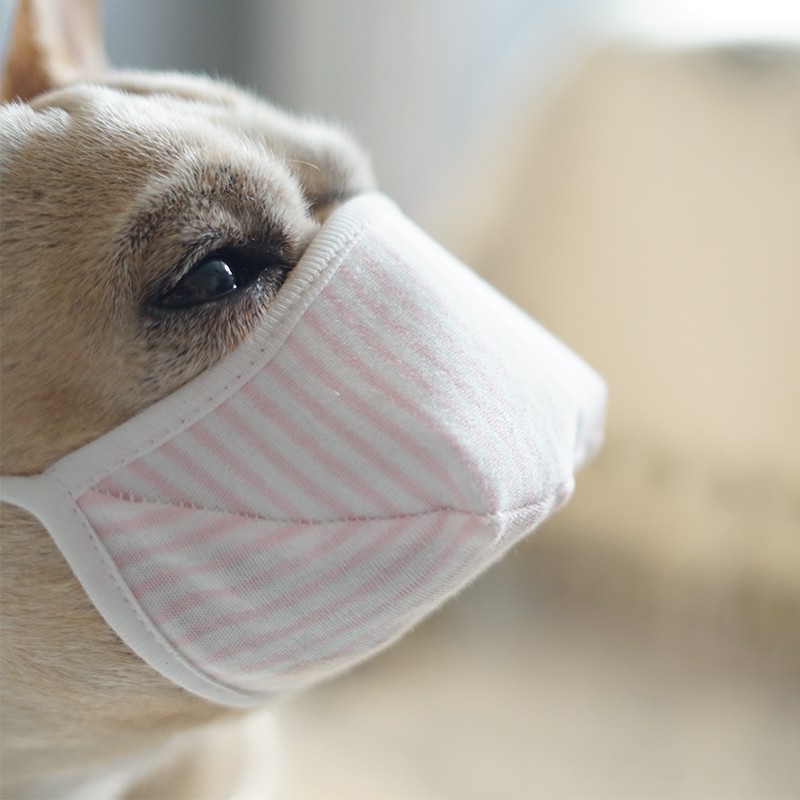 下標現貨 狗狗寵物口罩面罩狗用外出三層無紡布可水洗中小型犬專用口罩嘴罩 蝦皮購物