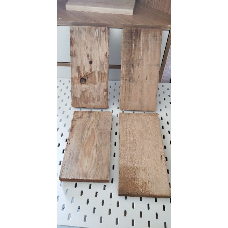 原木木板 上板材料 鹿角蕨 蘭花