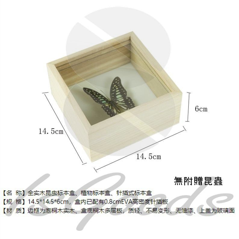 實木昆蟲標本盒透明展示盒蝴蝶標本相框獨角仙盒子 Sojob 蝦皮購物