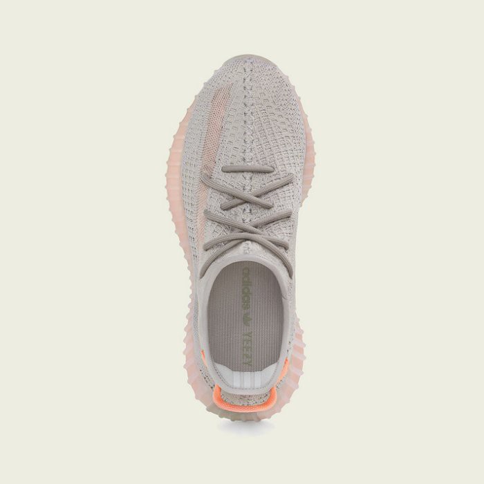 adidas yeezy boost 350 v2 true form eg7492