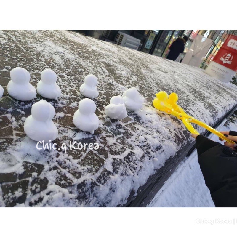 韓國姐姐代購 Bts鴨鴨造雪器雪模型 蝦皮購物