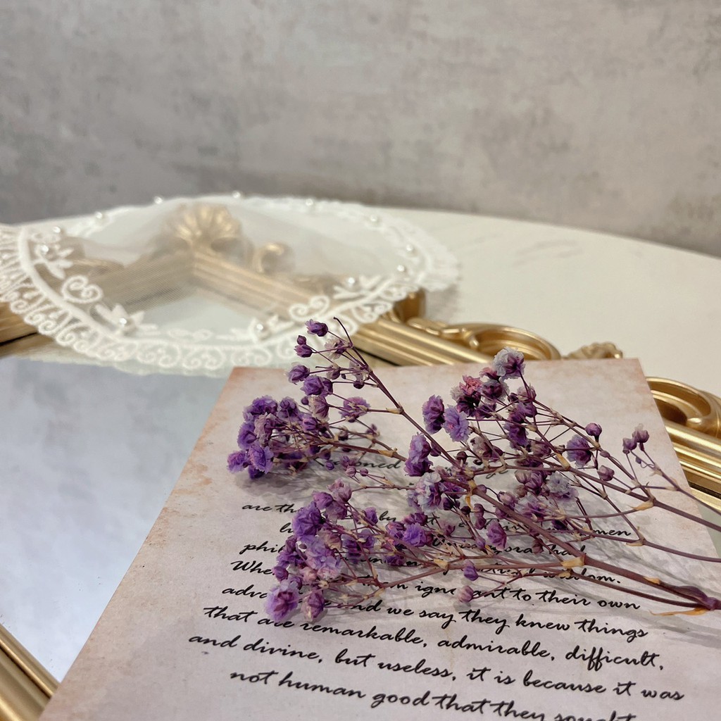 台灣現貨 乾燥滿天星乾燥花束乾燥花配草插花攝影道具閨蜜花束乾燥花材畢業花束花冠不凋花永生花配花 蝦皮購物