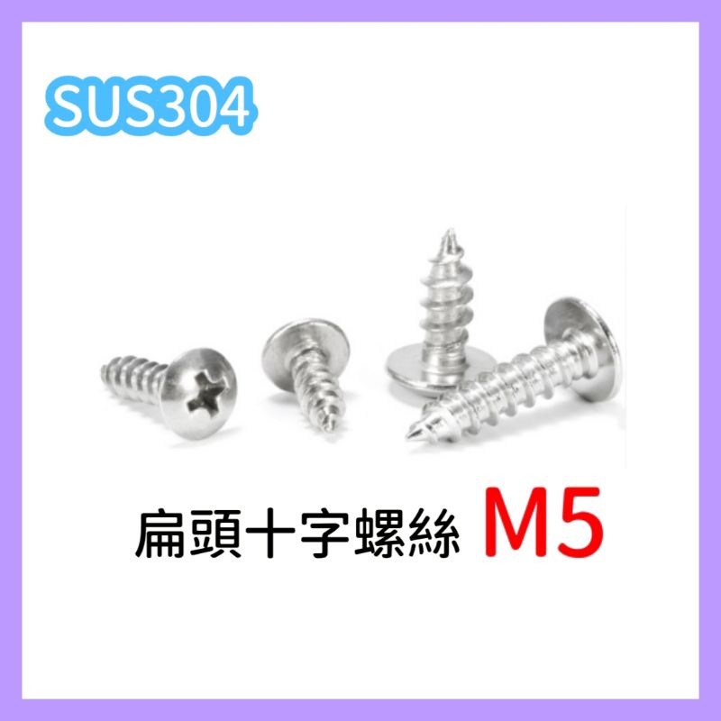 洗衣機 不鏽鋼 白鐵 SUS304 M5 扁頭 十字 螺絲 國際 三洋 LG 東芝 東元 聲寶 大同