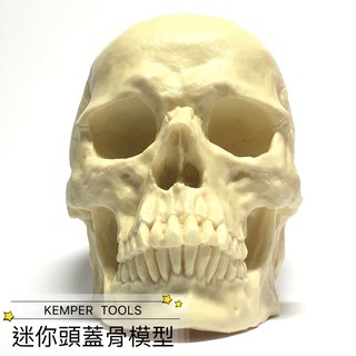 北星文化 片桐裕司●迷你頭蓋骨模型