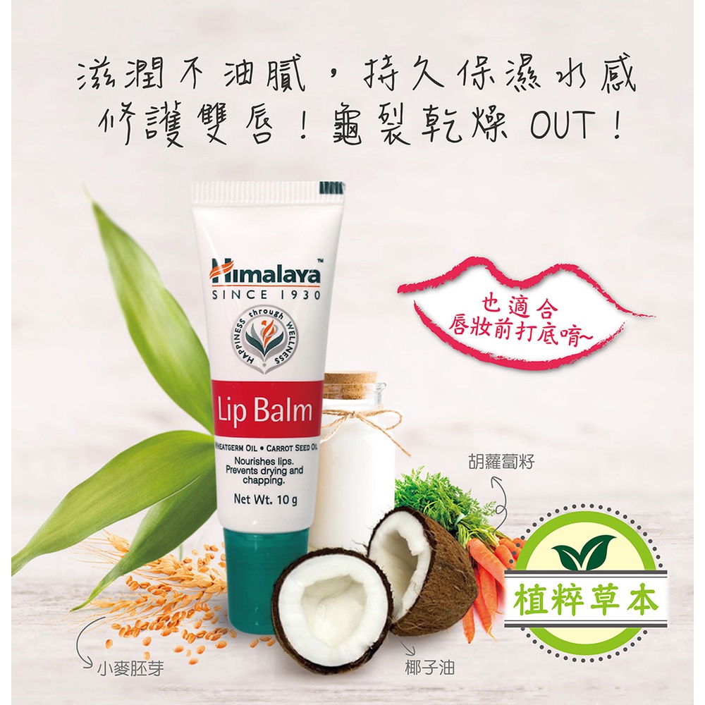 Himalaya 印度喜馬拉雅-滋潤護唇膏10g/入 維他命E修護唇膏