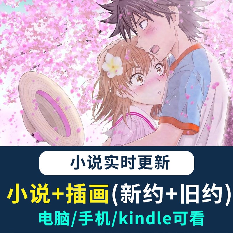 魔法禁書目錄小說定製設計服務電子書txt小說素材源文件 蝦皮購物