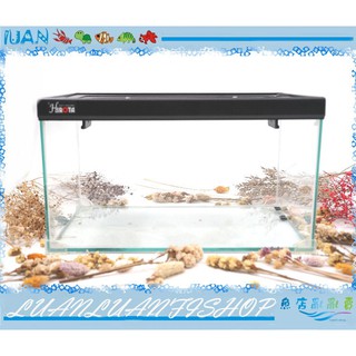 【魚店亂亂賣】HIROTA玻璃爬蟲箱RP-3520型(35*20*20cm) 兩棲.寵物缸(烏龜養殖缸)台灣製造