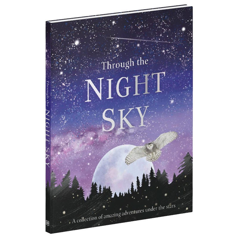 夜空觀星英語原版 夜空兒童天文學宇宙插圖 蝦皮購物