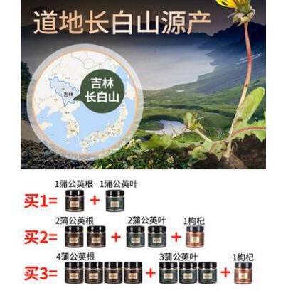 買1發2蒲公英根茶紅茶野生大根浦公英葉茶天然長白山樂嘉百貨 蝦皮購物
