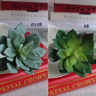 [HOME]尖角雪蓮 秋色 微景觀植物 模擬 多肉植物 模擬人造花 造景盆栽 攝影拍照道具 婚禮櫥窗居家空間桌面佈置