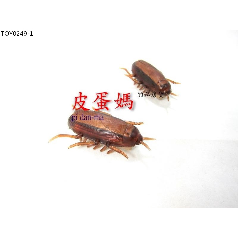 【胡椒貓】ZOY0249假蟑螂-整人電動蟑螂 逗貓玩具-電子蟑螂 整人玩具 仿真蟑螂-狗狗小朋友玩具小強昆蟲