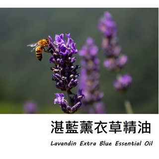 【muco】湛藍薰衣草精油Lavandin Extra Blue Essential Oil