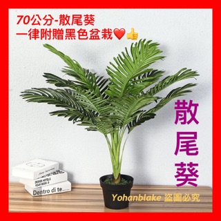 宅配免運費❤️散尾葵-大型仿真植物❤️北歐樹木 假綠色植物 假盆栽 客廳落地 室內龜背葉 散尾葵 模擬琴葉榕