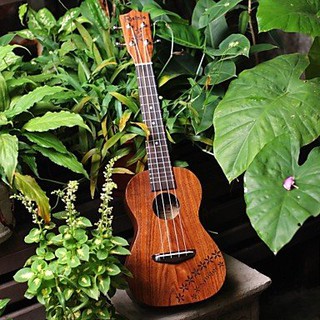 大鼻子樂器 Rainie C-40 Ukulele 23吋 烏克麗麗 雕刻 相思木全單板