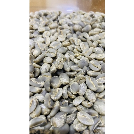 阿里山咖啡生豆1kg