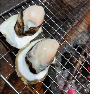 澎湖 竹灣 帶殼牡蠣 生蠔 蚵 碳烤牡蠣 深海養殖純淨無汙染