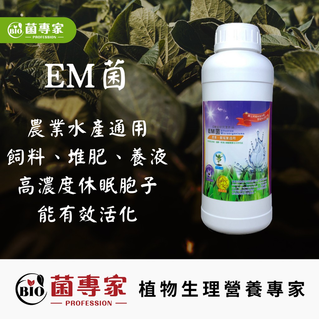 Em菌被評為最佳12 21 Beecost