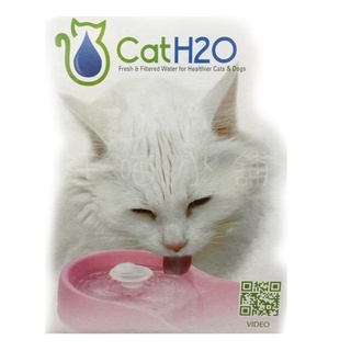 ☆汪喵小舖2店☆ 出清特價~CATH2O 小型犬、貓專用自動淨水器、飲水機、濾水機 // 迴圈、噴泉式