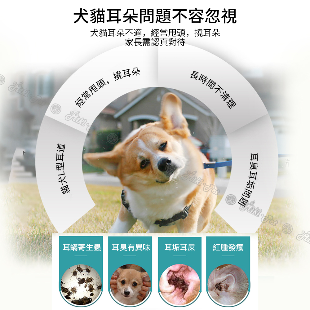 台灣現貨 寵物耳蟎油滴耳液洗耳油狗狗貓咪清耳液洗耳液除耳蟎清潔耳垢除臭寵物滴耳劑