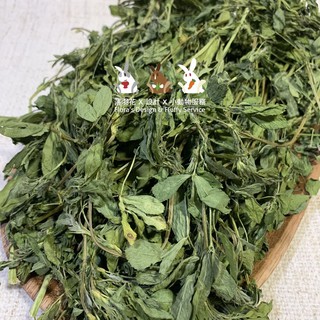 紫花苜蓿草 優惠推薦 21年7月 蝦皮購物台灣