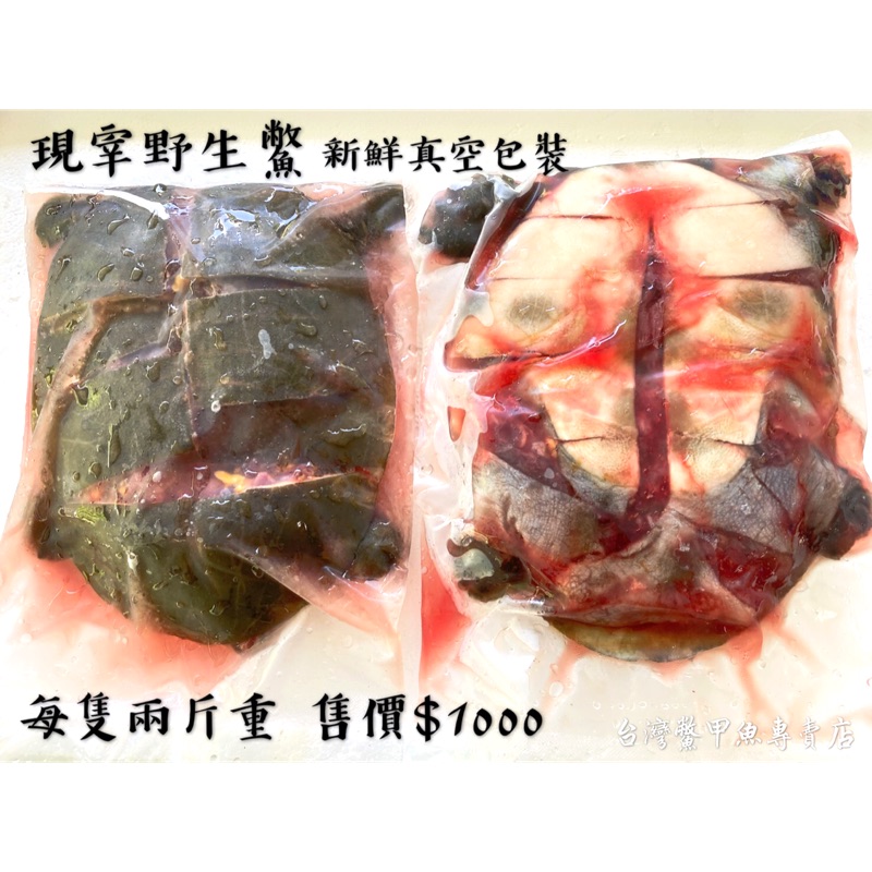 全家冷凍$120⭐️大隻ㄟ卡好吃 買家五星好評【台灣鱉】野生鱉 新鮮現宰真空包裝 各斤兩 肉質甜美 保證新鮮