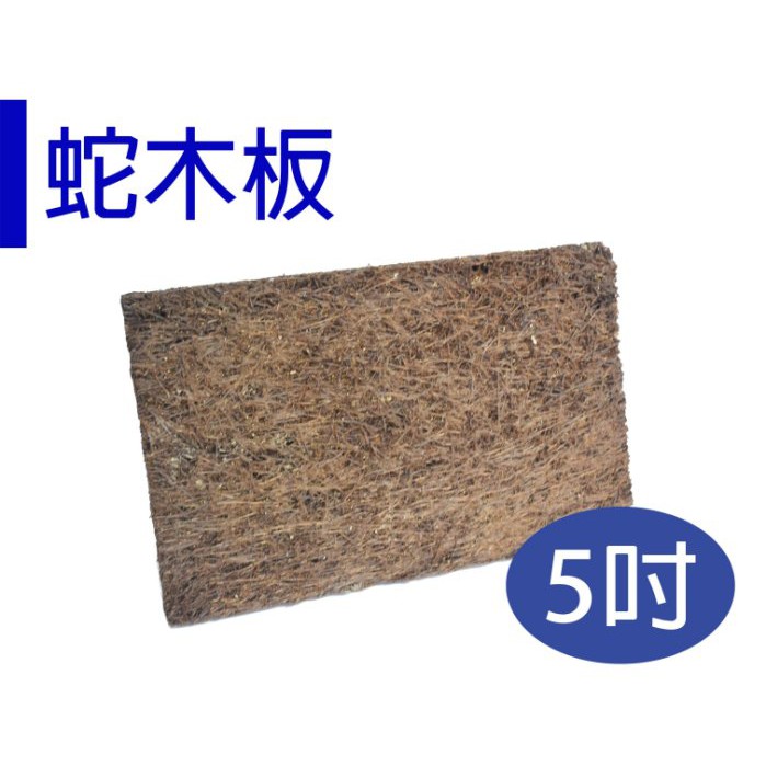 【醬米資材】蛇木板5吋/ 保水通氣性佳/單片裝