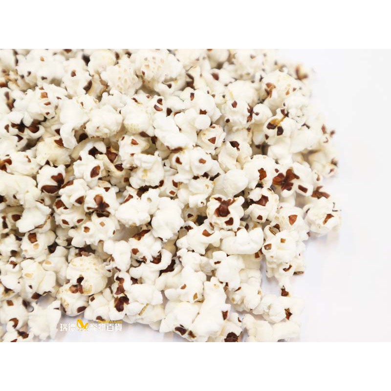 瑞德寵物百貨 精選高粱爆米花40克 可當訓練小點心 鸚鵡松鼠兔子蜜袋鼯等皆可食用 蝦皮購物