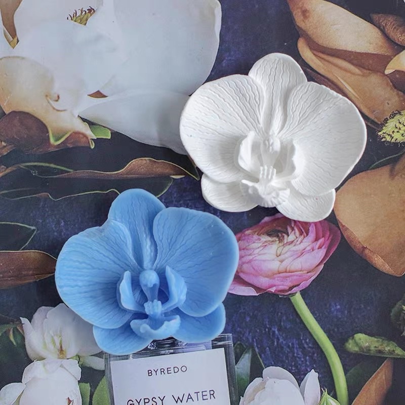 現品限り一斉値下げ フラワー ガーデン 胡蝶蘭 Blue Laboiteabac Fr