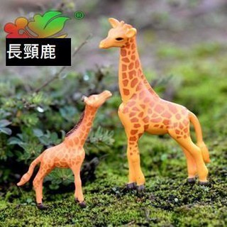 【微景小鋪】可愛長頸鹿 景觀多肉植物苔蘚盆栽擺件 DIY花盆裝飾品 園藝水族造景 迷你擺件 拍攝道具