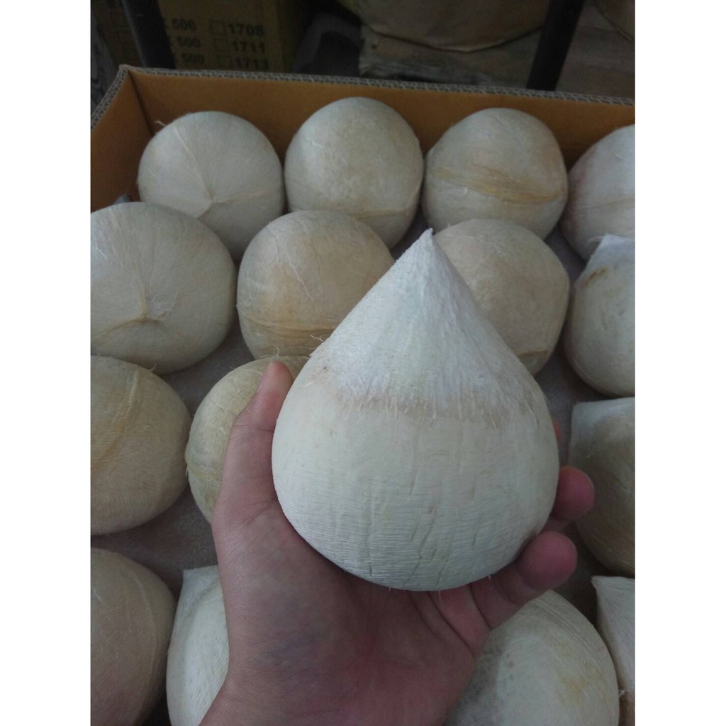 售完~17.5KG/24顆/$1050泰國香水椰子~泰國可可椰子、芋香椰子