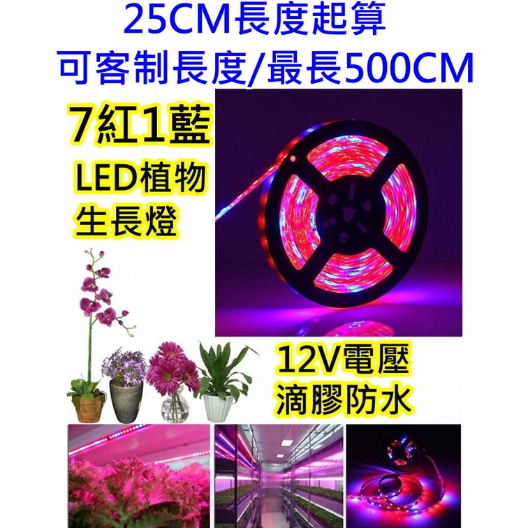 15顆燈25cm長度起賣 7紅1藍 LED植物生長燈【沛紜小鋪】LED植物燈 LED園藝燈 LED植物補光燈 LED軟條