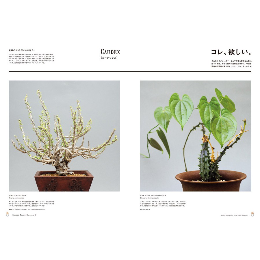 Brutus ブルータス 18年no 872 新 珍奇植物 蝦皮購物