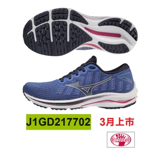 【大學城體育用品社女】MIZUNO女慢跑鞋WAVE RIDER 25 WAVEKNITJ1GD217702