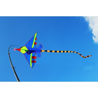 【風箏小舖】長尾飛機 風箏 戰鬥機 風箏 B5-玻璃纖維骨架 格子布 造型風箏 飛機風箏 戰鬥機 風箏