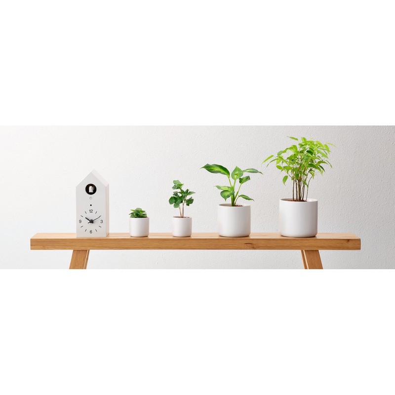 Muji 無印良品花盆陶器4號 蝦皮購物