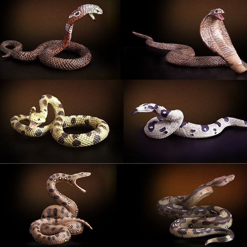 玩模樂仿真蛇動物模型珊瑚蛇眼鏡蛇響尾蛇黃金蟒蛇銀環蛇兒童玩具 蝦皮購物