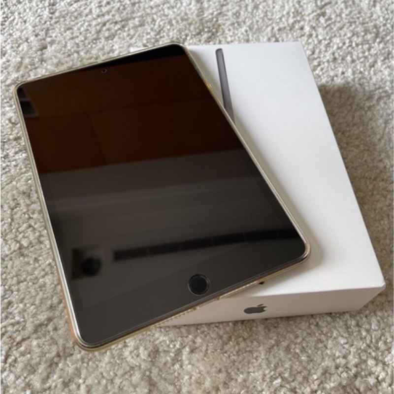 極新 Apple iPad Mini 5 7.9吋 64G Wifi 太空灰 蘋果平板電腦