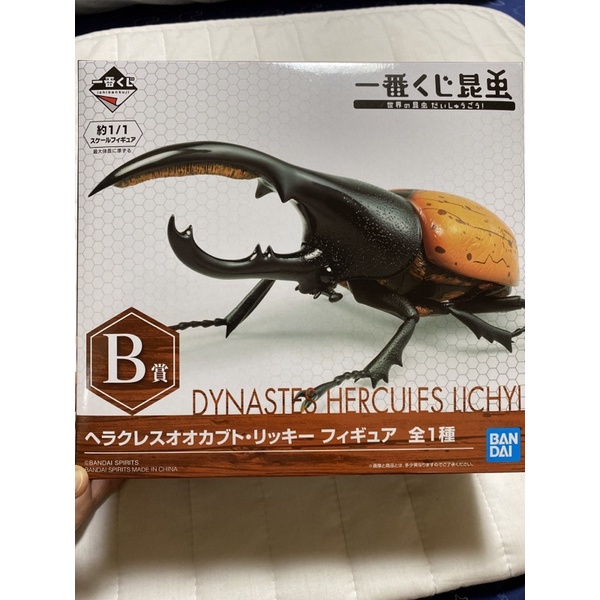 BANDAI一番賞 B賞 赫克克力士長戟大兜蟲 甲蟲模型